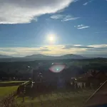 Fantastic View Vineyard Beskid Mountains Gruszow (Lesser Poland)