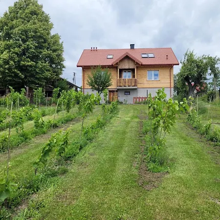 Fantastic View Vineyard Beskid Mountains