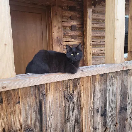 Fantastic View Vineyard Beskid Mountains * Gruszow (Lesser Poland)