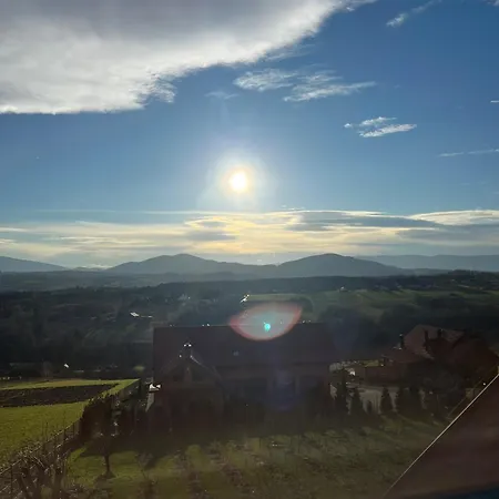 Fantastic View Vineyard Beskid Mountains Gruszow (Lesser Poland)