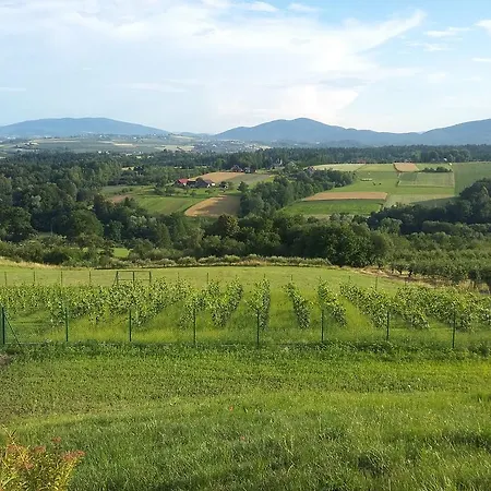 Fantastic View Vineyard Beskid Mountains Lägenhet Gruszow (Lesser Poland)