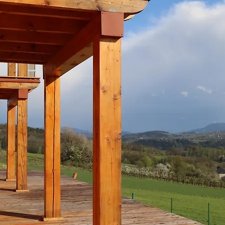 Fantastic View Vineyard Beskid Mountains Gruszow (Lesser Poland)